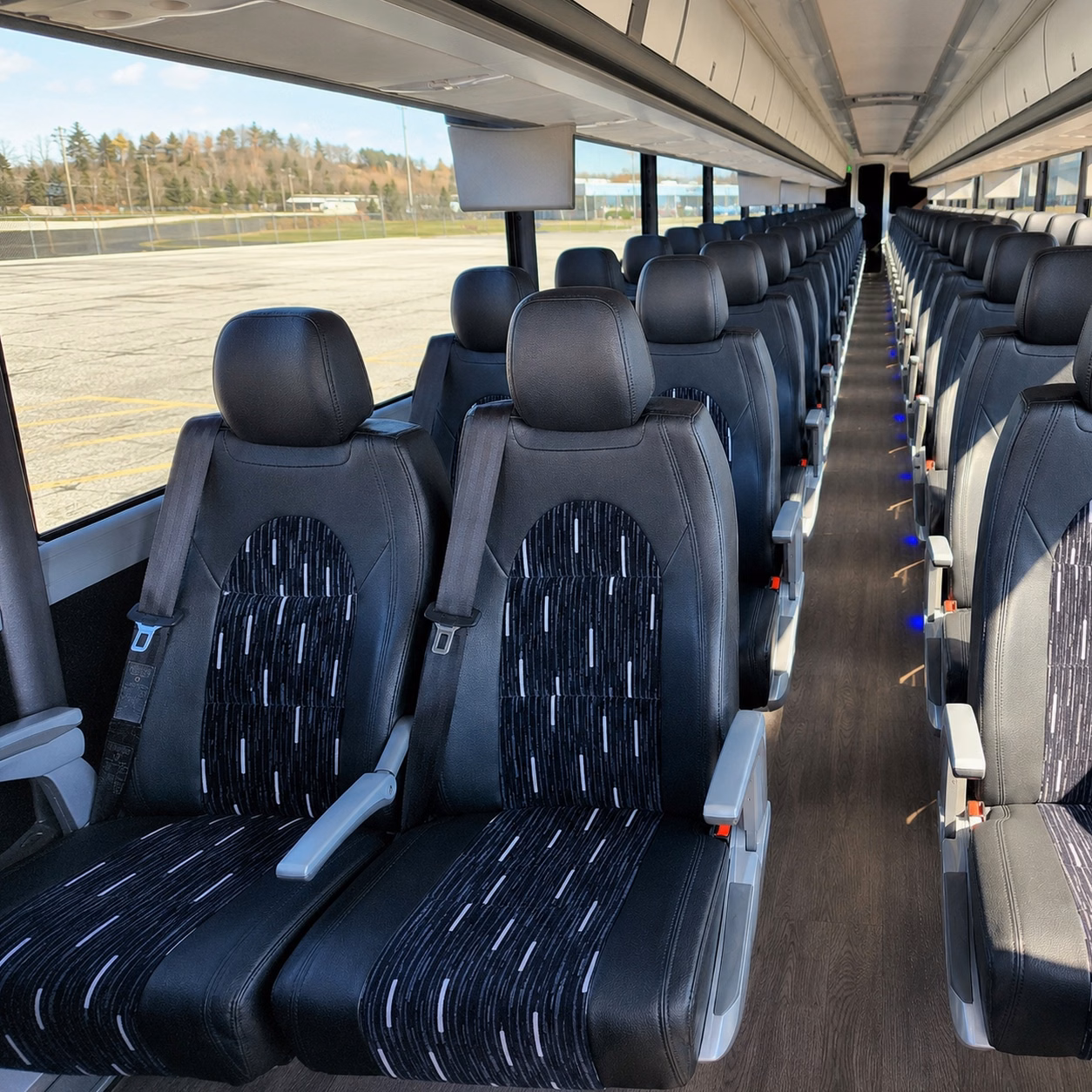 compare buses in minutes not days